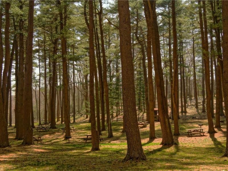 sudoku children puzzle screenshot 4